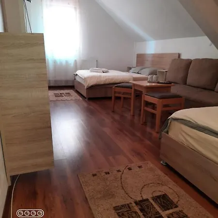 Guest house Vila Panda Ranca