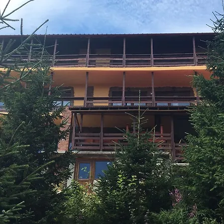 Guest house Vila Panda